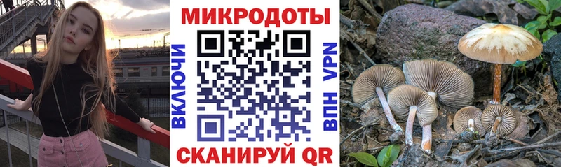 наркошоп  KRAKEN вход  Галлюциногенные грибы мицелий  Новоалександровск 